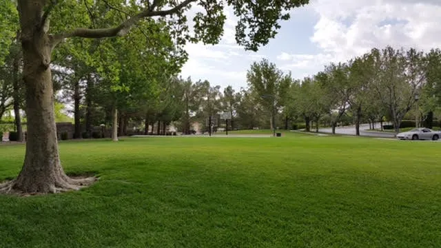 Custom garden landscaping in Las Vegas, NV - U.S. Landscape