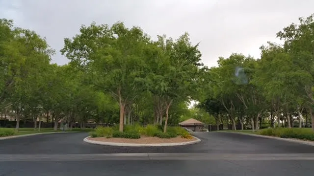 Expert landscape design for outdoor upgrades across Las Vegas, NV - U.S. Landscape