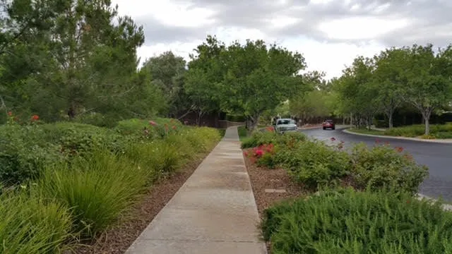 Professional landscaping services near you across Las Vegas, NV - U.S. Landscape