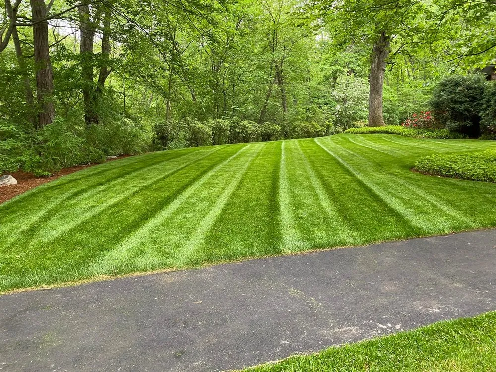 Top-rated lawn care service in Waltham, MA by US Landscaping & Construction