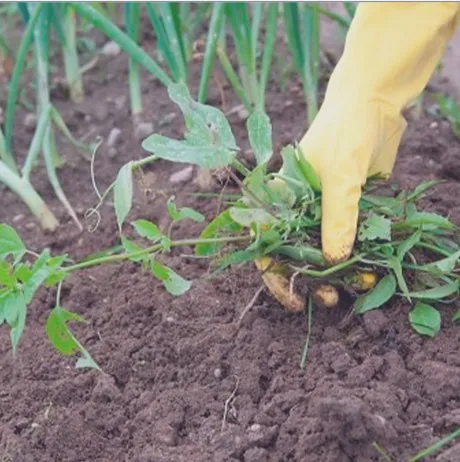 Expert landscape design near you across Harlingen, TX - US Landscaping Services