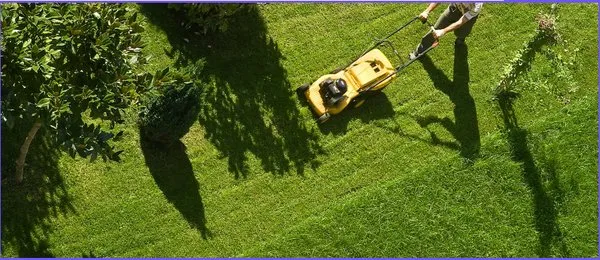 US Landscaping Services