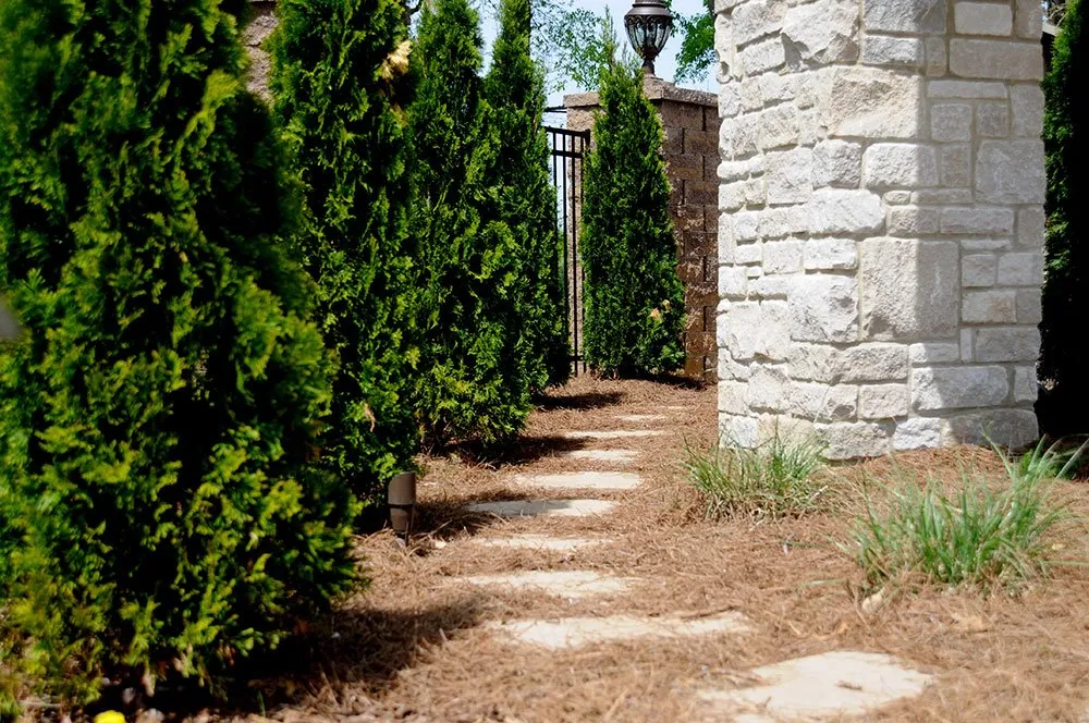 Reliable lawn mowing service for residential properties in Bowling Green, KY by US Lawn & Landscape