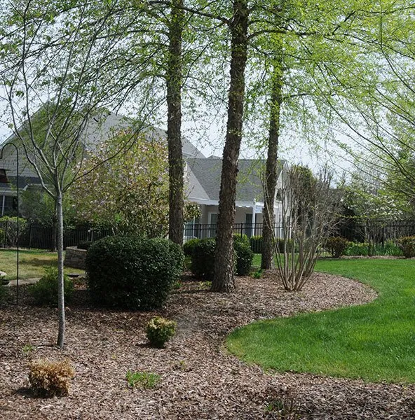 Trusted lawn care service experts serving Bowling Green, KY - US Lawn & Landscape