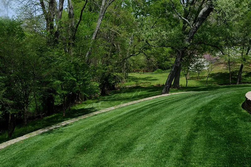 Affordable lawn mowing service in Bowling Green, KY by US Lawn & Landscape