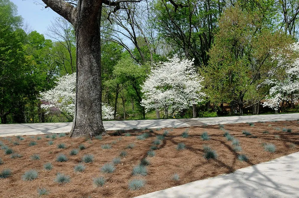 Local residential landscaping in Bowling Green, KY - US Lawn & Landscape