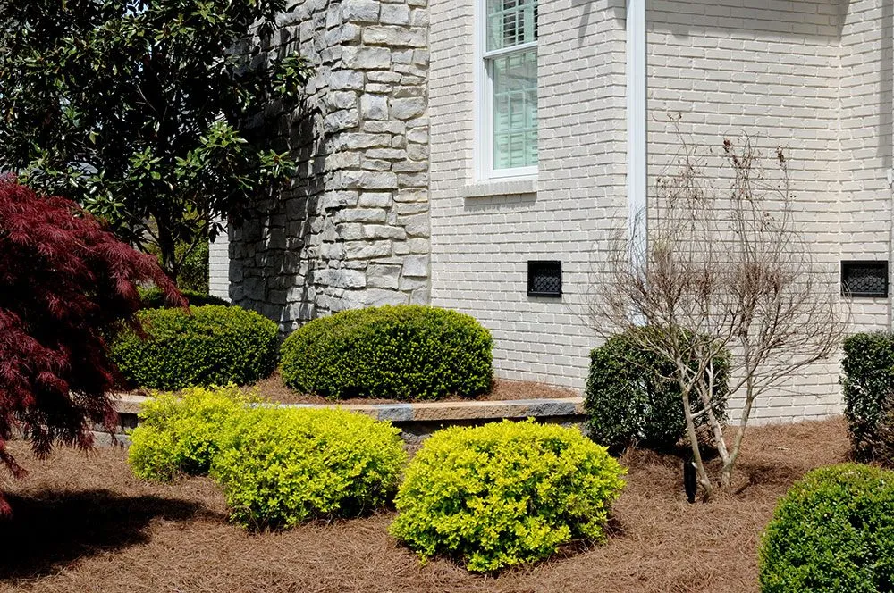 Top-rated lawn care service for residential properties in Bowling Green, KY by US Lawn & Landscape