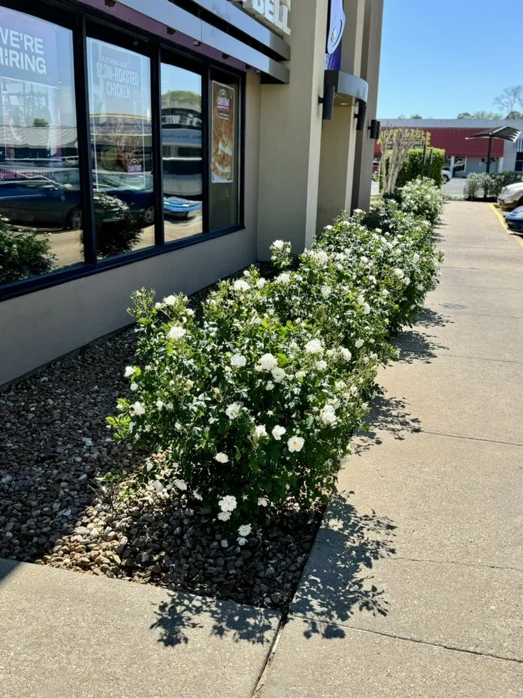 Top-rated residential landscaping in Alexandria, LA by U.S. Lawns - Alexandria LA