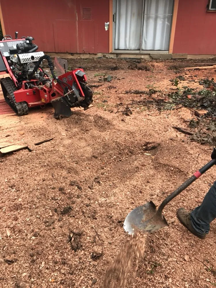 Affordable lawn mowing service in Austin, TX - US Lawns - Austin West