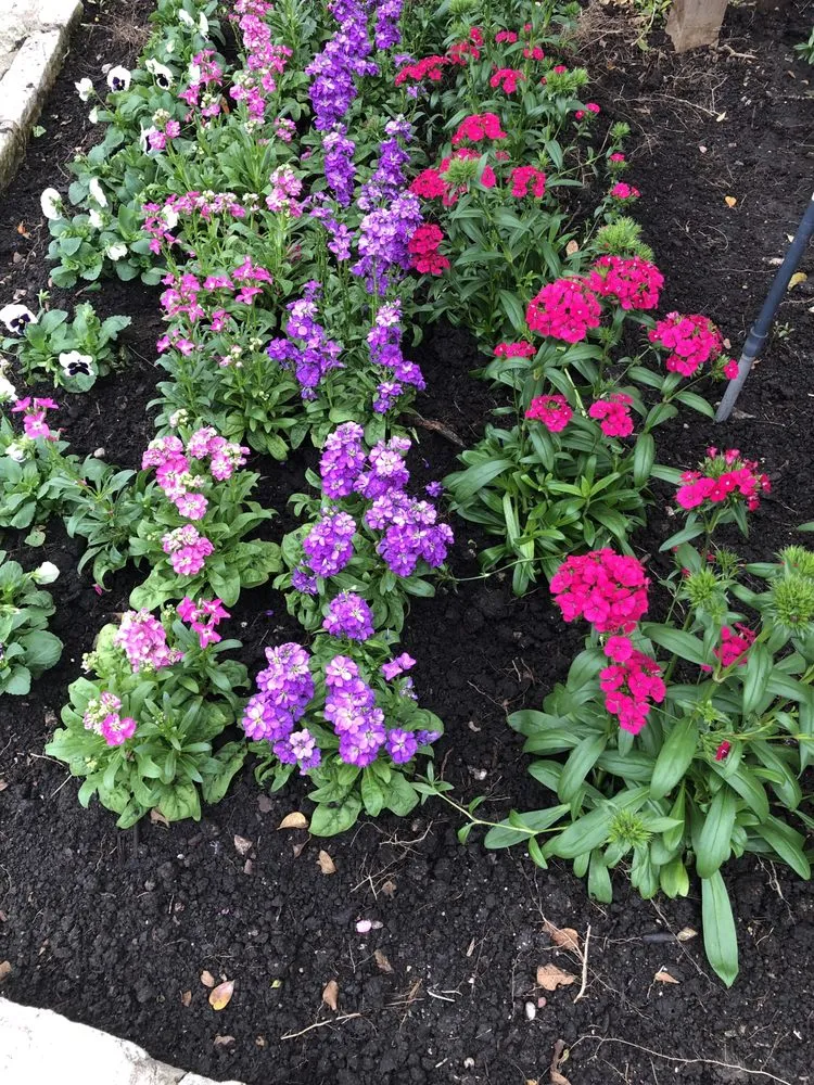 Reliable residential landscaping in Austin, TX - US Lawns - Austin West