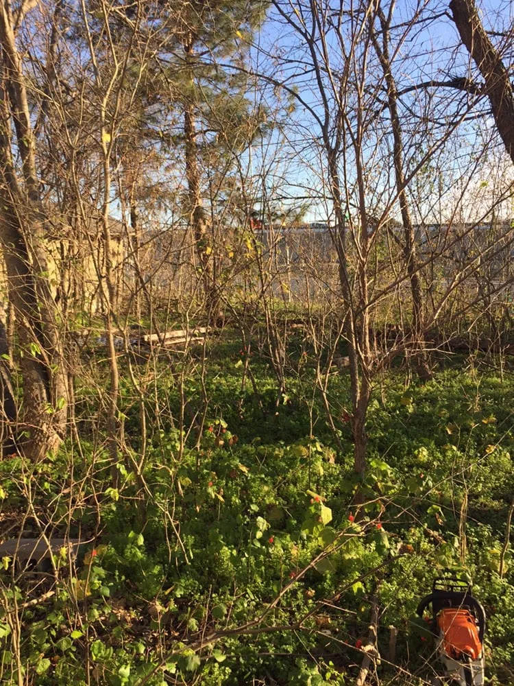 Custom residential landscaping in Austin, TX - US Lawns - Austin West