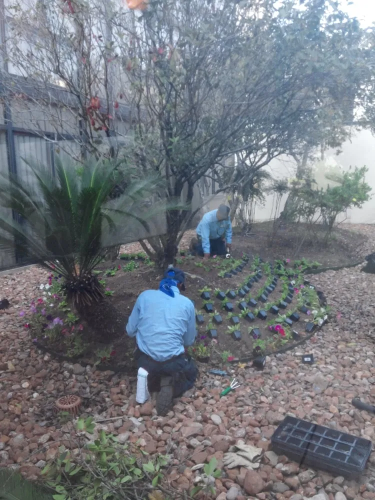 Local lawn care service in Beaumont, TX - US Lawns - Beaumont