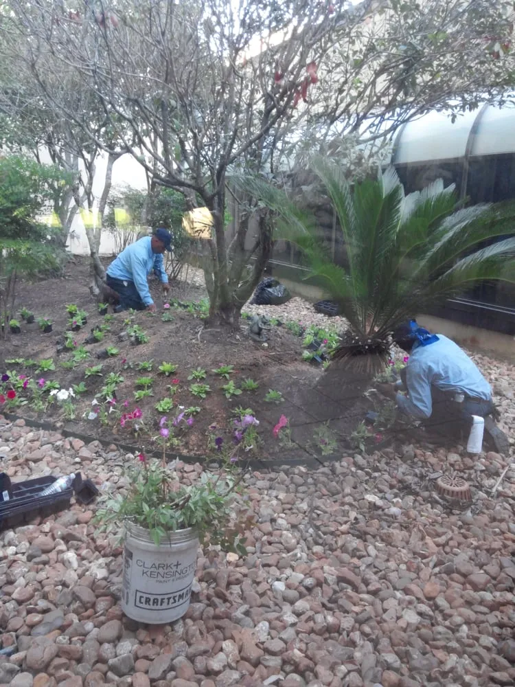 Trusted yard maintenance for residential properties across Beaumont, TX - US Lawns - Beaumont