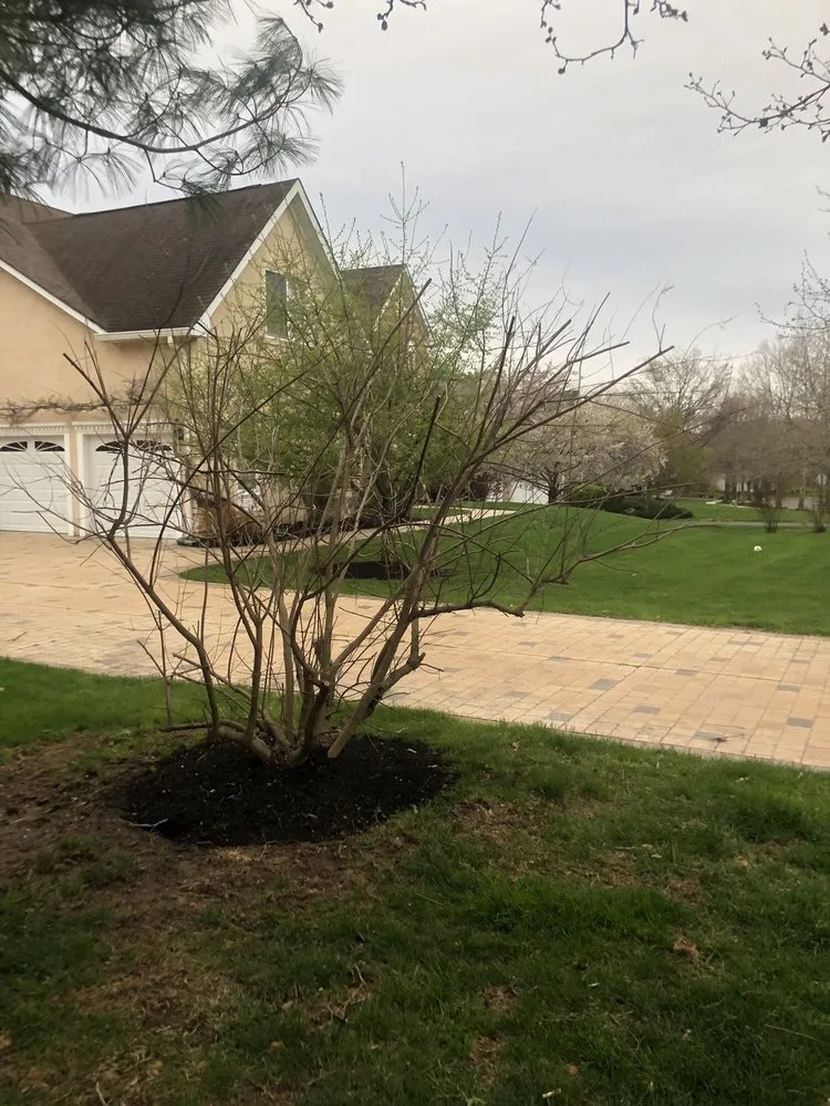 Top-rated yard maintenance in Bordentown, NJ - US Lawns - Bordentown