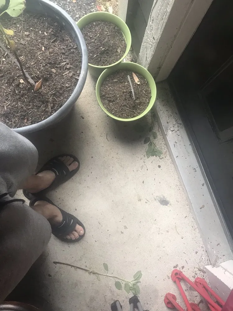 Top-rated landscape installation experts serving North Charleston, SC - U.S. Lawns - Charleston