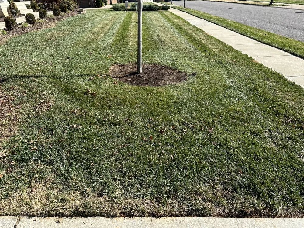 Professional lawn care service with custom design across Clarksville, TN - US Lawns - Clarksville
