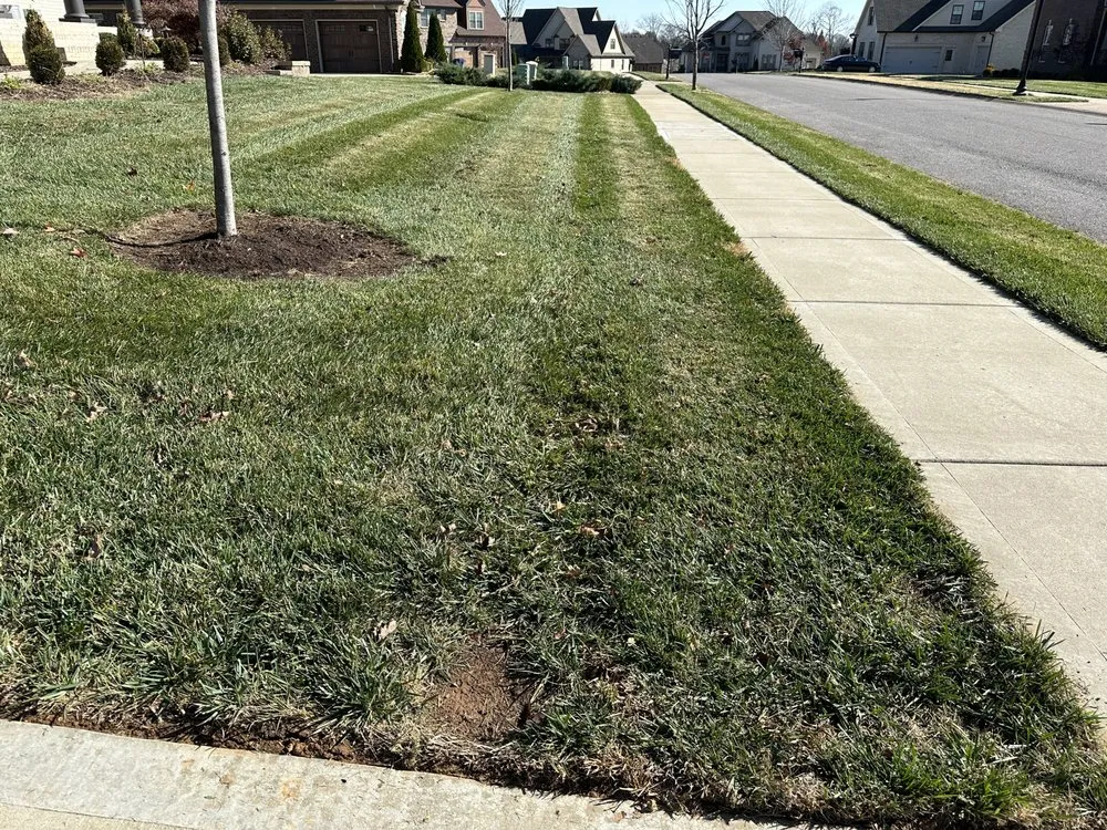 Top-rated residential landscaping for beautiful yards across Clarksville, TN - US Lawns - Clarksville