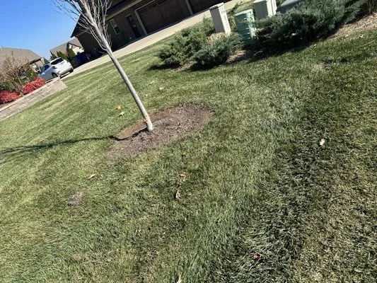 US Lawns - Clarksville Logo