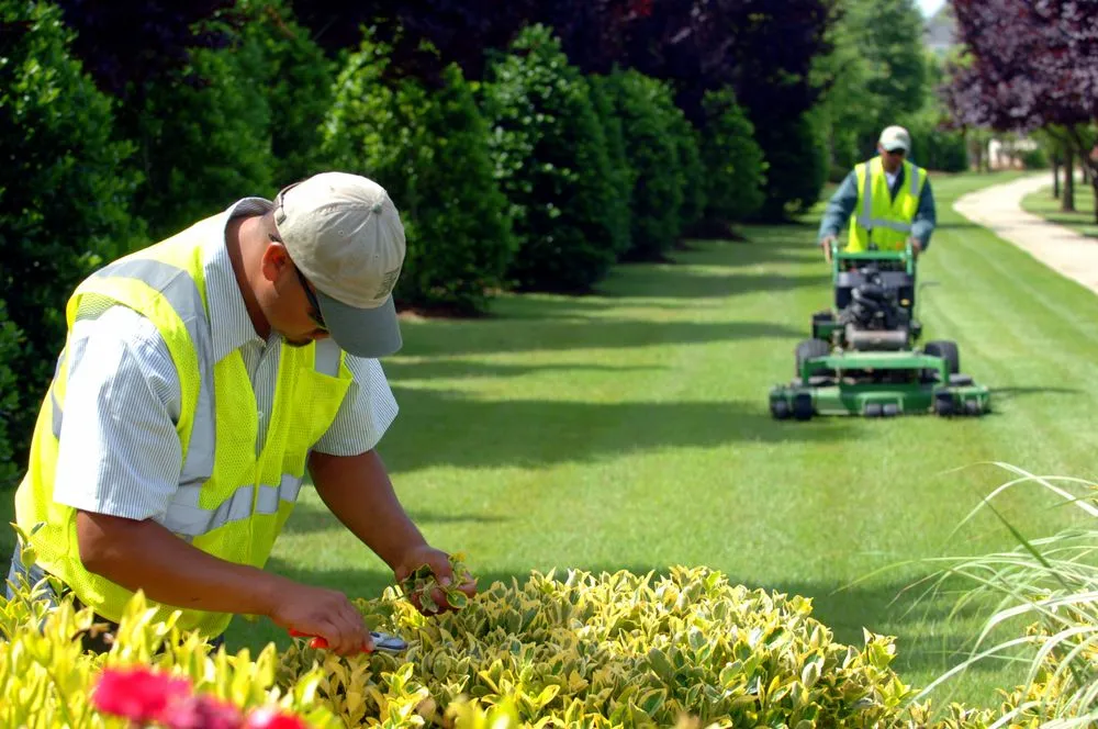 Affordable residential landscaping with custom design in Kernersville, NC by U.S. Lawns - Greensboro