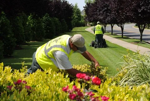 Reliable landscaping services experts serving Greenville, NC - U.S. Lawns - Greenville NC