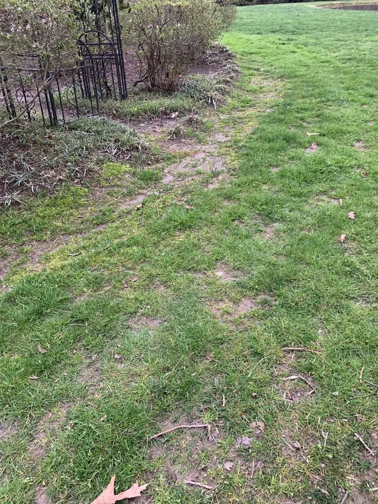 Local lawn care service experts serving Greenville, SC - U.S. Lawns - Greenville SC