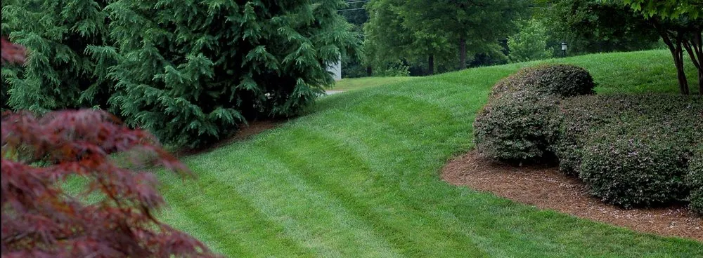 Custom yard cleanup service in Greenville, SC by U.S. Lawns - Greenville SC