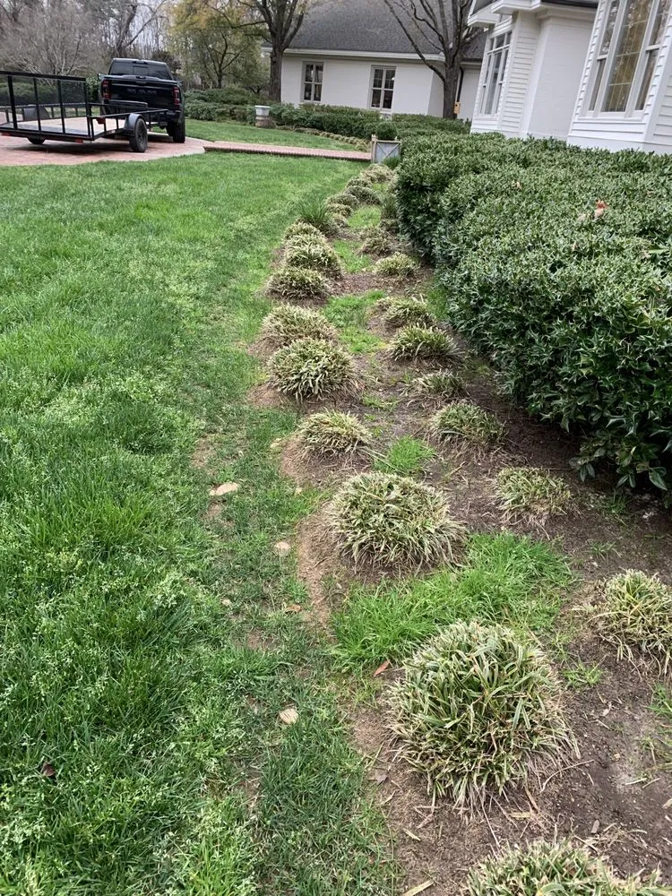Professional residential landscaping for residential properties across Greenville, SC - U.S. Lawns - Greenville SC