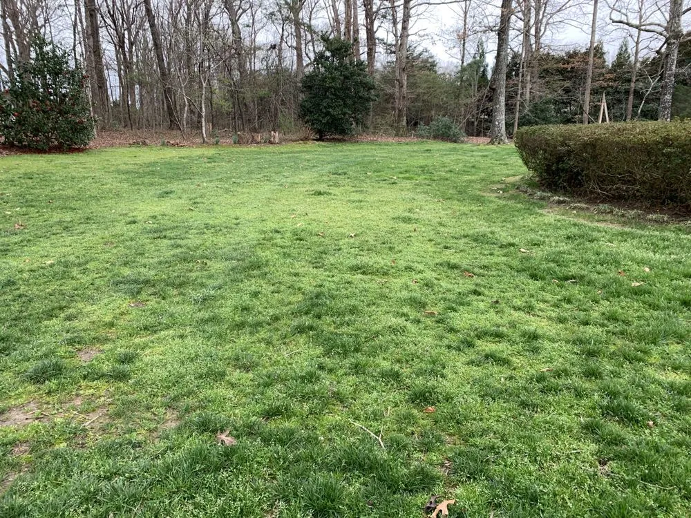 Reliable outdoor landscaping in Greenville, SC by U.S. Lawns - Greenville SC