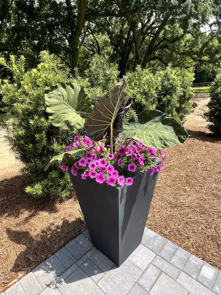 Local lawn mowing service in Broussard, LA by U.S. Lawns - Lafayette