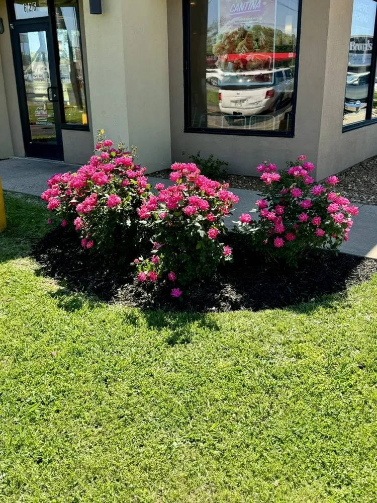 Expert outdoor landscaping in Broussard, LA by U.S. Lawns - Lafayette