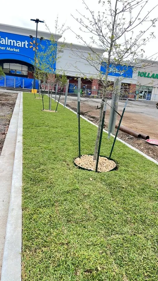 Local landscape installation in Broussard, LA by U.S. Lawns - Lafayette