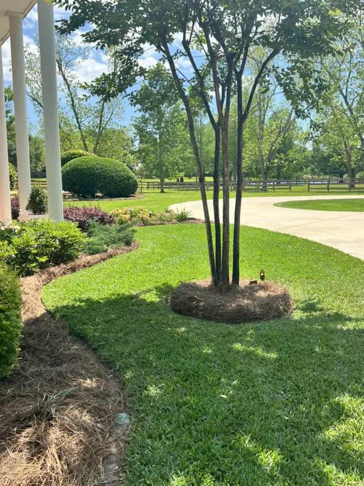 Top-rated garden landscaping in Broussard, LA - U.S. Lawns - Lafayette