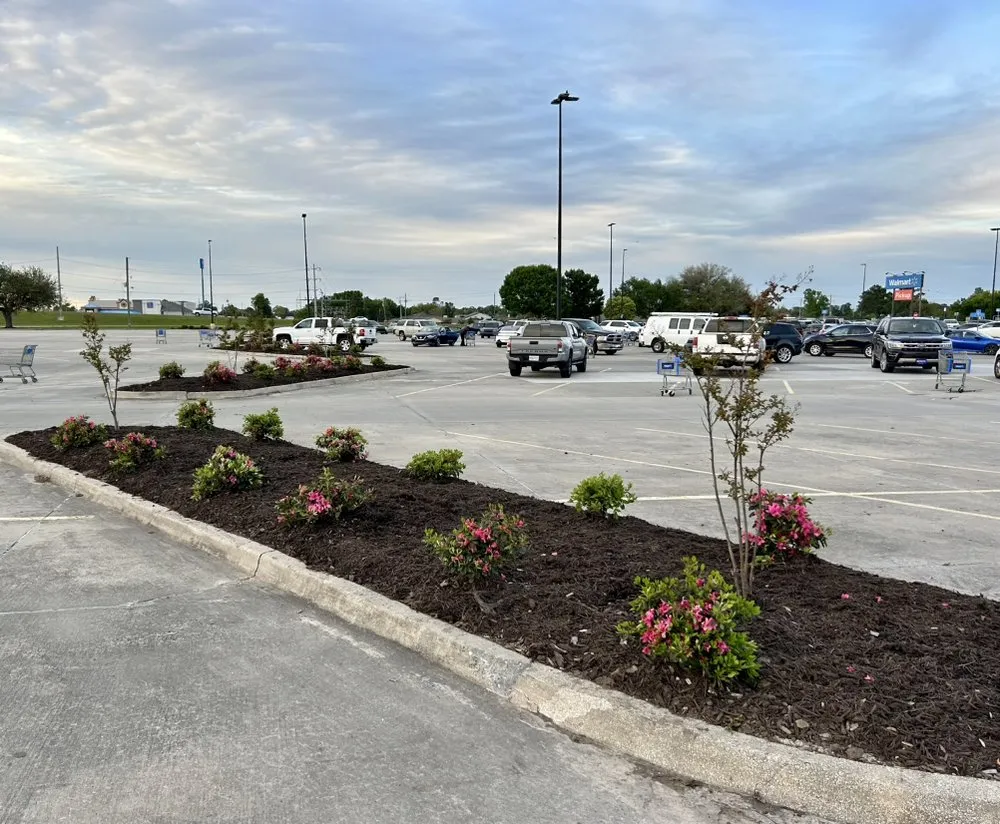 Expert residential landscaping in Broussard, LA - U.S. Lawns - Lafayette