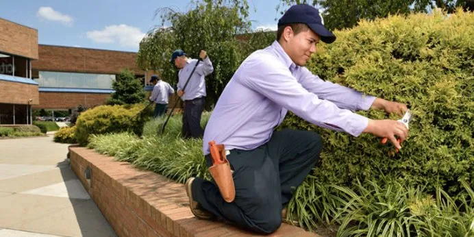 Expert lawn mowing service in Freehold, NJ - US Lawns - Monmouth