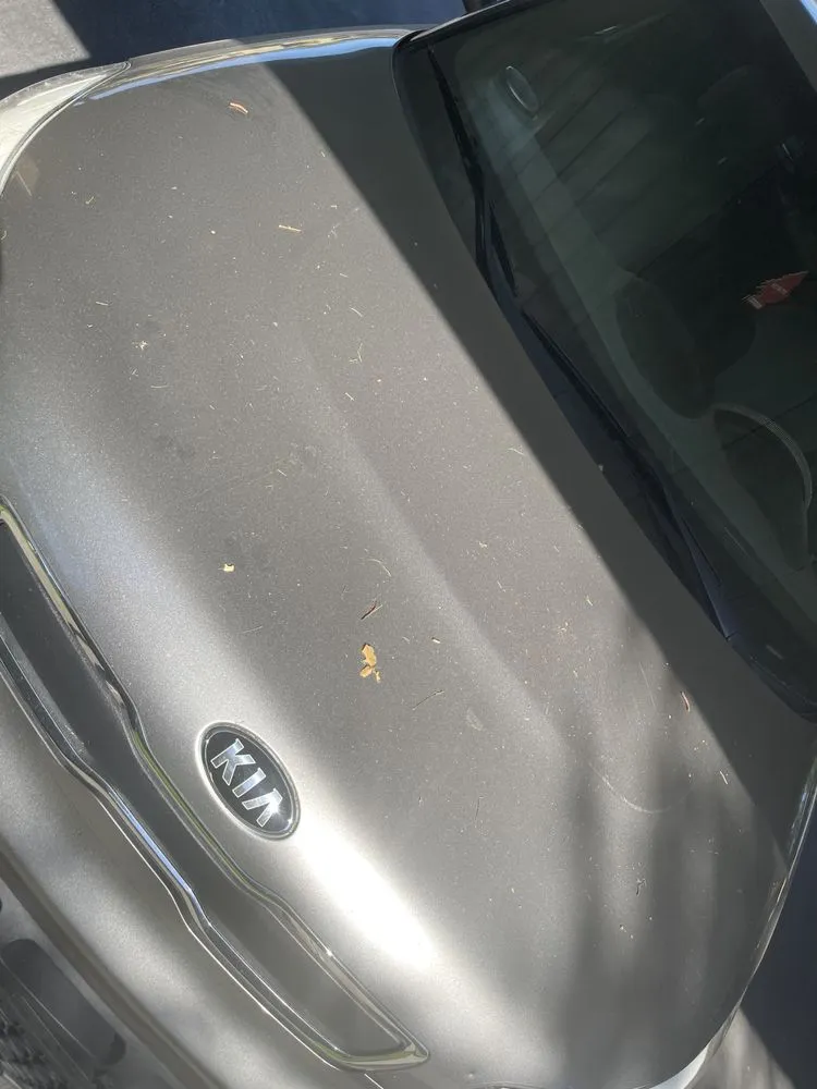 Custom lawn mowing service for residential properties across Rancho Cordova, CA - U.S. Lawns - Sacramento East