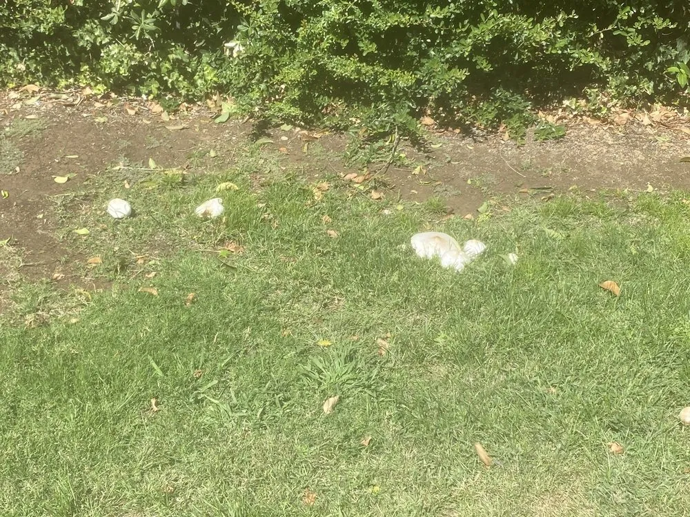 Professional residential landscaping for residential properties across Rancho Cordova, CA - U.S. Lawns - Sacramento East