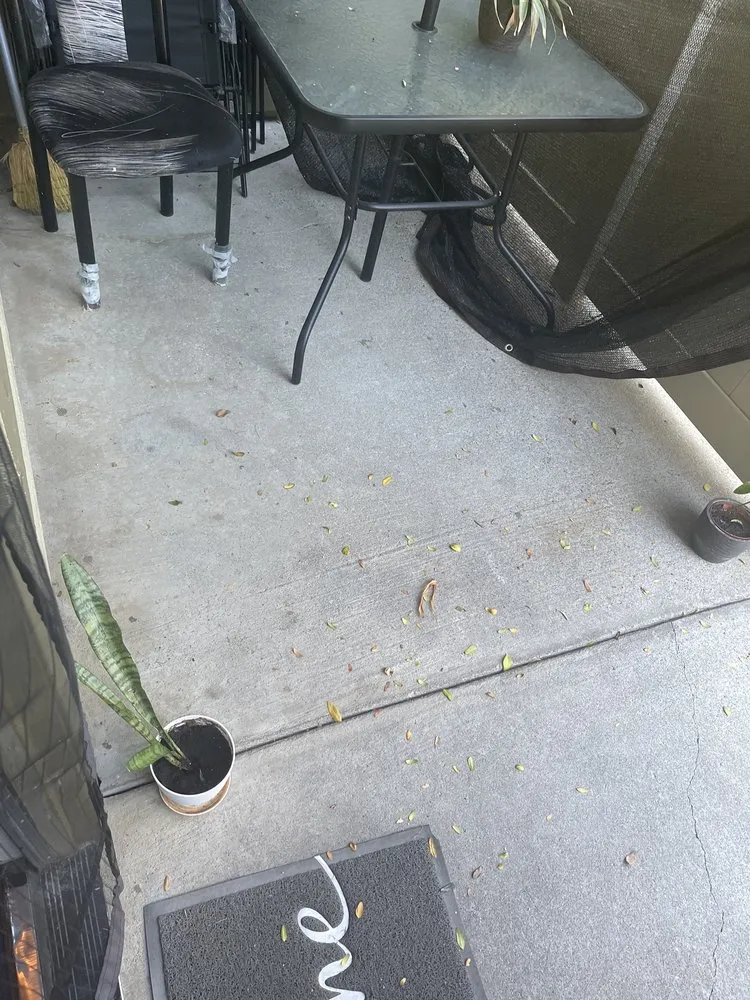 Affordable yard cleanup service for homes across Rancho Cordova, CA - U.S. Lawns - Sacramento East