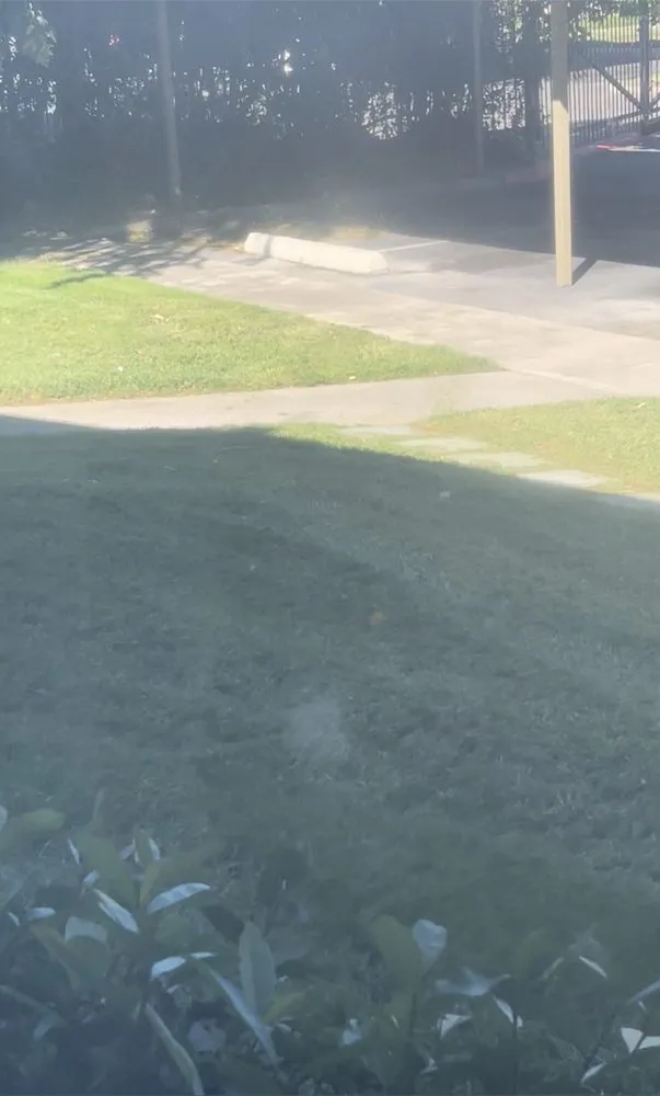 Affordable yard maintenance in Rancho Cordova, CA by U.S. Lawns - Sacramento East