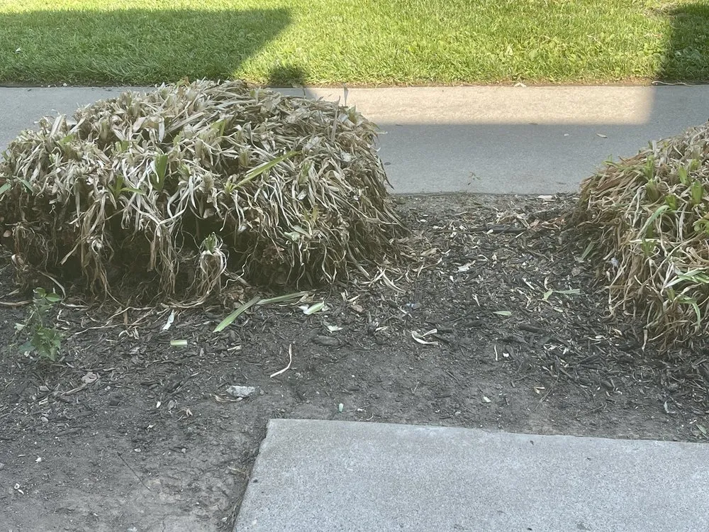 Custom garden landscaping for beautiful yards in Rancho Cordova, CA by U.S. Lawns - Sacramento East