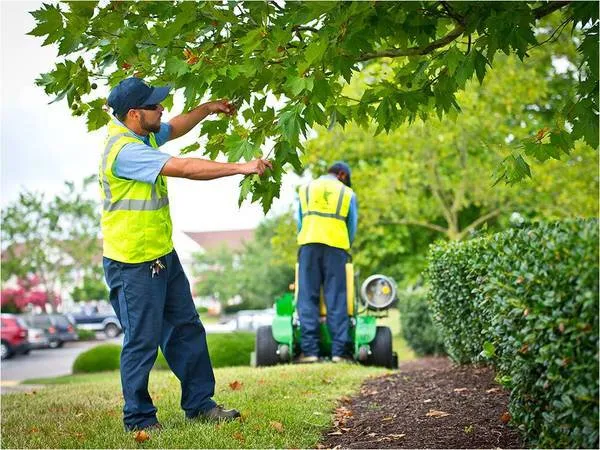 Affordable landscape installation near you in San Antonio, TX by Us Lawns - San Antonio South