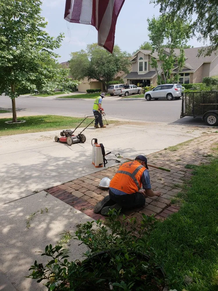 Local yard cleanup service near you in San Antonio, TX by U.S. Lawns - San Antonio West