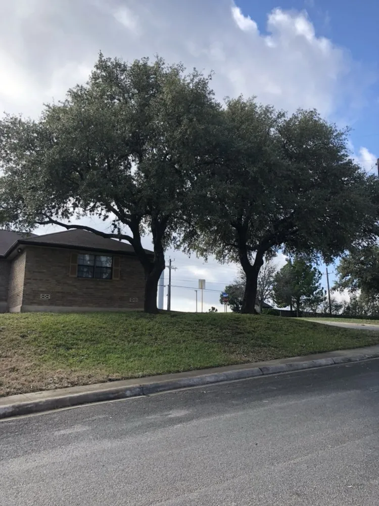 Expert landscape design in San Antonio, TX by U.S. Lawns - San Antonio West