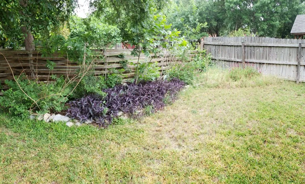 Affordable yard cleanup service in San Antonio, TX by U.S. Lawns - San Antonio West
