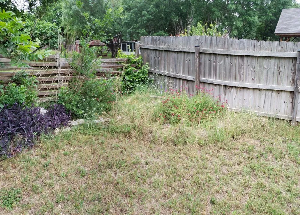 Reliable landscape design with custom design across San Antonio, TX - U.S. Lawns - San Antonio West