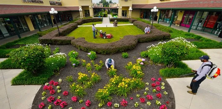 Top-rated residential landscaping experts serving Waco, TX - U.S. Lawns - Waco