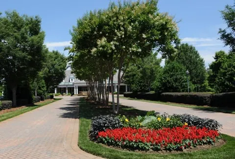 Expert yard cleanup service in Ypsilanti, MI - US Lawns - Ypsilanti