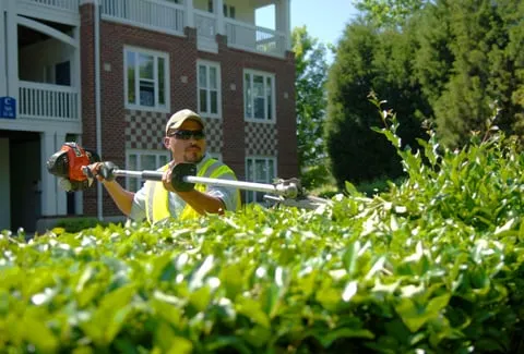 Local lawn care service experts serving Chardon, OH - US Lawns