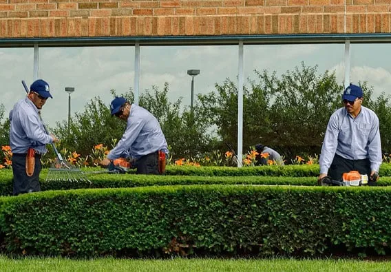 Expert lawn mowing service for year-round maintenance in Chardon, OH by US Lawns