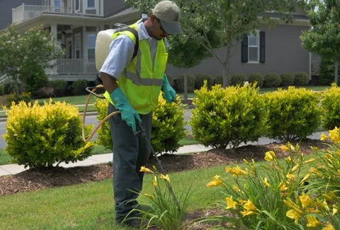 Top-rated landscaping services in Chardon, OH - US Lawns