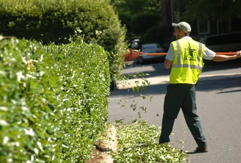 Trusted garden landscaping near you across Chardon, OH - US Lawns